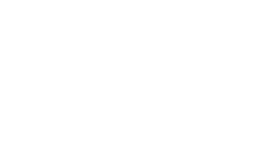 partner ufficiale a2a